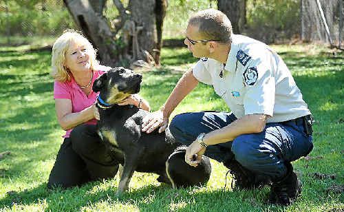 Sue Merrick and Andrew Kelly with Buddy, who was rescued from a puppy mill. Sue Merrick and Andrew Kelly with Buddy, who was rescued from a puppy mill.